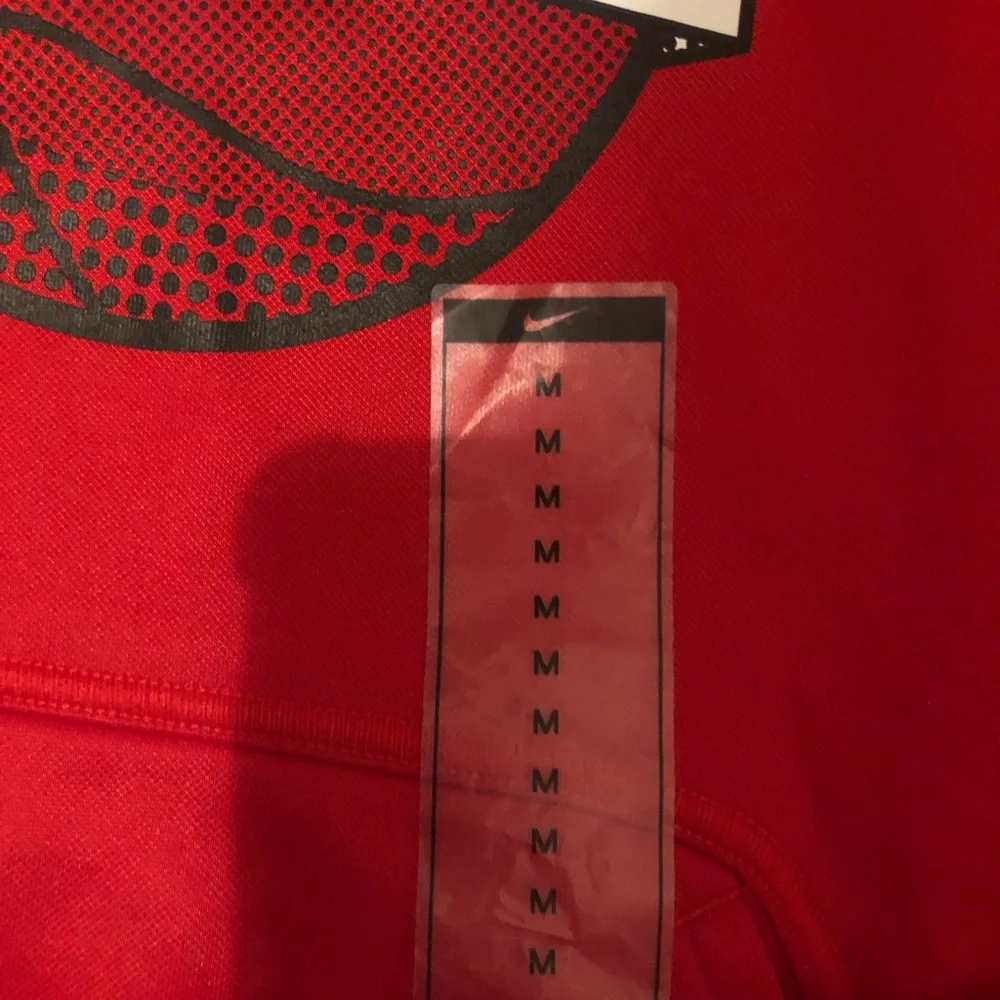 NWT NIKE THERMA-FIT HOODIE